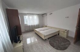 Spatii cazare, 10 camere cazare muncitori, 300 mp, cartier Romanesti