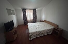 Spatii cazare, 10 camere cazare muncitori, 300 mp, cartier Romanesti