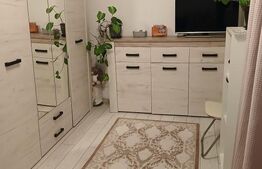 Apartament 2 camere, 42 mp, zona Craiovita Noua - Scoala 30
