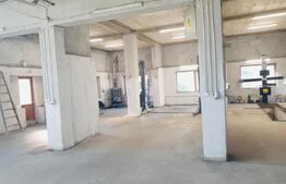 Hala/depozit/service auto, 380 mp, Dudovicesti - com. Simnicu de Sus