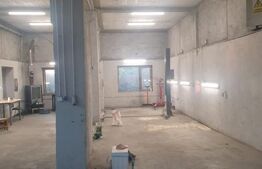 Hala/depozit/service auto, 380 mp, Dudovicesti - com. Simnicu de Sus