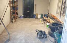 Hala/depozit/service auto, 380 mp, Dudovicesti - com. Simnicu de Sus