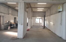 Hala/depozit/service auto, 380 mp, Dudovicesti - com. Simnicu de Sus