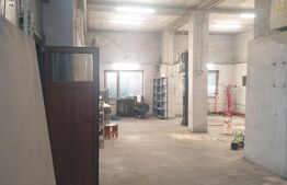 Hala/depozit/service auto, 380 mp, Dudovicesti - com. Simnicu de Sus