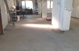 Hala/depozit/service auto, 380 mp, Dudovicesti - com. Simnicu de Sus