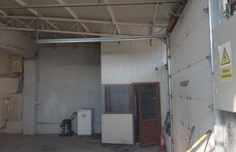 Hala/depozit/service auto, 380 mp, Dudovicesti - com. Simnicu de Sus