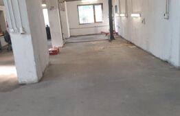 Hala/depozit/service auto, 380 mp, Dudovicesti - com. Simnicu de Sus