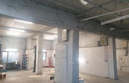 Hala/depozit/service auto, 380 mp, Dudovicesti - com. Simnicu de Sus