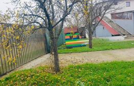 Hala/depozit/service auto, 380 mp, Dudovicesti - com. Simnicu de Sus