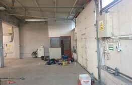 Hala/depozit/service auto, 380 mp, Dudovicesti - com. Simnicu de Sus