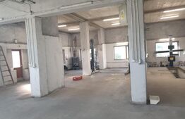 Hala/depozit/service auto, 380 mp, Dudovicesti - com. Simnicu de Sus