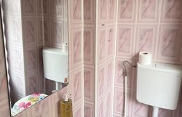  Casa P+E, teren 220 mp, zana centrala, pa langa Campia Islaz 