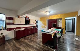 Casa pe parter + anexa locuibila, 215 mp utili, 571 mp teren, Damila