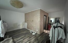 Casa pe parter + anexa locuibila, 215 mp utili, 571 mp teren, Damila