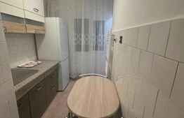 Garsoniera, 34 mp, centrala proprie si aer, zona Rovine