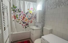 Garsoniera, 34 mp, centrala proprie si aer, zona Rovine