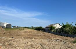 Teren intravilan | 8.700 mp | Cosoveni | P+2E | Dublu front