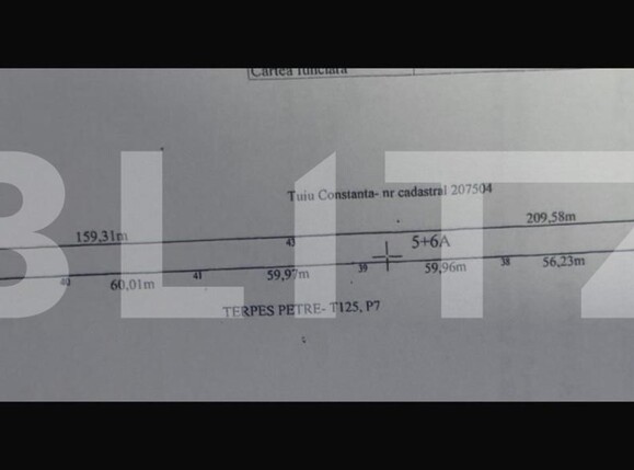 Teren de vânzare Cernele - 187189TV | BLITZ Craiova | Poza1