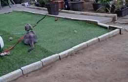 Apartament 2 camere, 37.84 mp, zona Valea Rosie