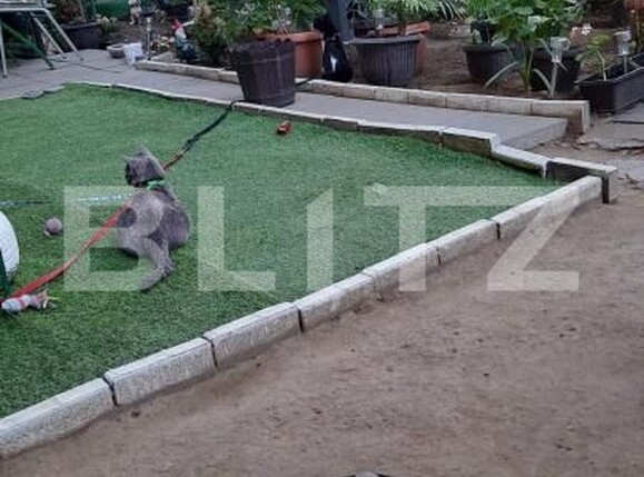 Apartament de vânzare 2 camere Valea Rosie - 187289AV | BLITZ Craiova | Poza14