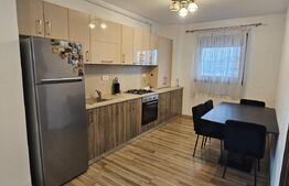 Apartament 2 camere, 55 mp utili, zona stadion Ion Oblemenco