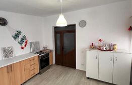 Spatiu comercial, 98 mp si 1100 mp teren, Pielesti