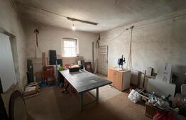 Spatiu comercial, 98 mp si 1100 mp teren, Pielesti