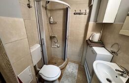 Garsoniera de inchiriat, 30 mp, zona Ultracentral - zona English Park