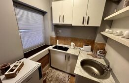 Garsoniera moderna, PetFriendly, parter inalt,  zona English Park