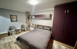 Garsoniera moderna, PetFriendly, parter inalt,  zona English Park