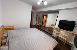 Casă 8 camere, 404 mp, zona Lapus