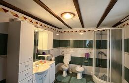 Casa P+beci, 115 mp, 1644 mp teren, zona Pielesti