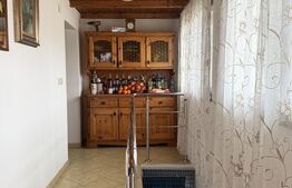 Casa P+beci, 115 mp, 1644 mp teren, zona Pielesti