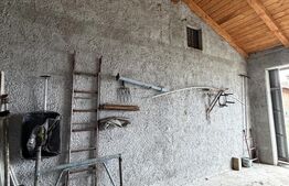 Casa P+beci, 115 mp, 1644 mp teren, zona Pielesti