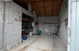 Casa P+beci, 115 mp, 1644 mp teren, zona Pielesti