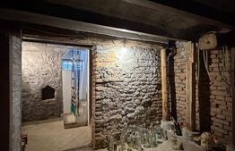 Casa P+beci, 115 mp, 1644 mp teren, zona Pielesti