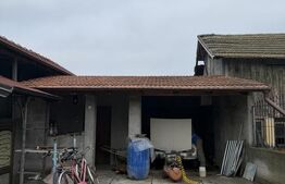 Casa P+beci, 115 mp, 1644 mp teren, zona Pielesti