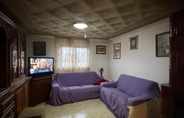 Casa P+beci, 115 mp, 1644 mp teren, zona Pielesti