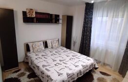 Apartament 2 camere, 55 mp, zona Brazda lui Novac