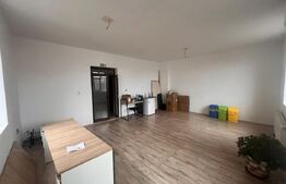 Spatiu birou, 44 mp, zona Gării