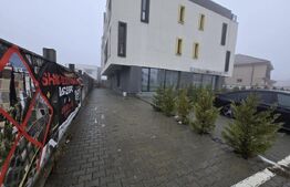 Apartament 2 camere, 55 mp, 104 mp curte proprie, zona Veteranilor