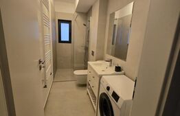Apartament 2 camere, 55 mp, 104 mp curte proprie, zona Veteranilor
