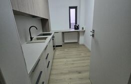 Apartament 2 camere, 55 mp, 104 mp curte proprie, zona Veteranilor