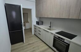 Apartament 2 camere, 55 mp, 104 mp curte proprie, zona Veteranilor