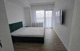 Apartament 2 camere, 55 mp, 104 mp curte proprie, zona Veteranilor