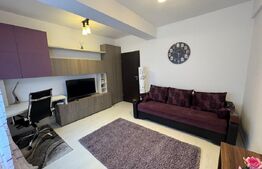 Garsoniera de inchiriat, 30 mp, zona 1 Mai