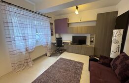 Garsoniera de inchiriat, 30 mp, zona 1 Mai