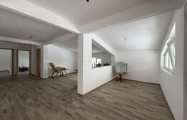 Casa P+M+beci,  211 mp utili, 432 mp teren, Livezi