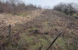  Terenarabil de 700mp la 10000 euro la 60 mp de str E70 Racoteanu