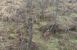  Terenarabil de 700mp la 10000 euro la 60 mp de str E70 Racoteanu